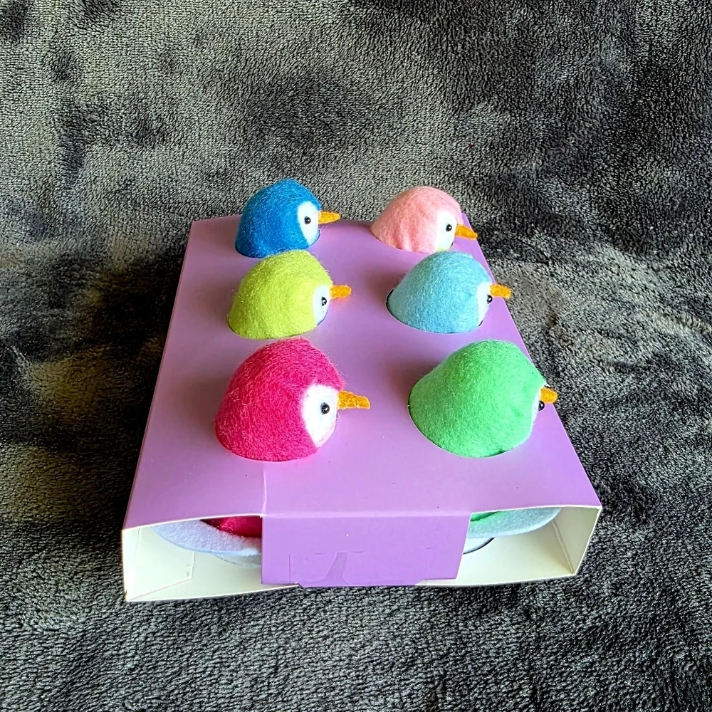 New 2025 Target Spritz Featherly Friends 7 Piece Easter Egg Carton Birds NWT